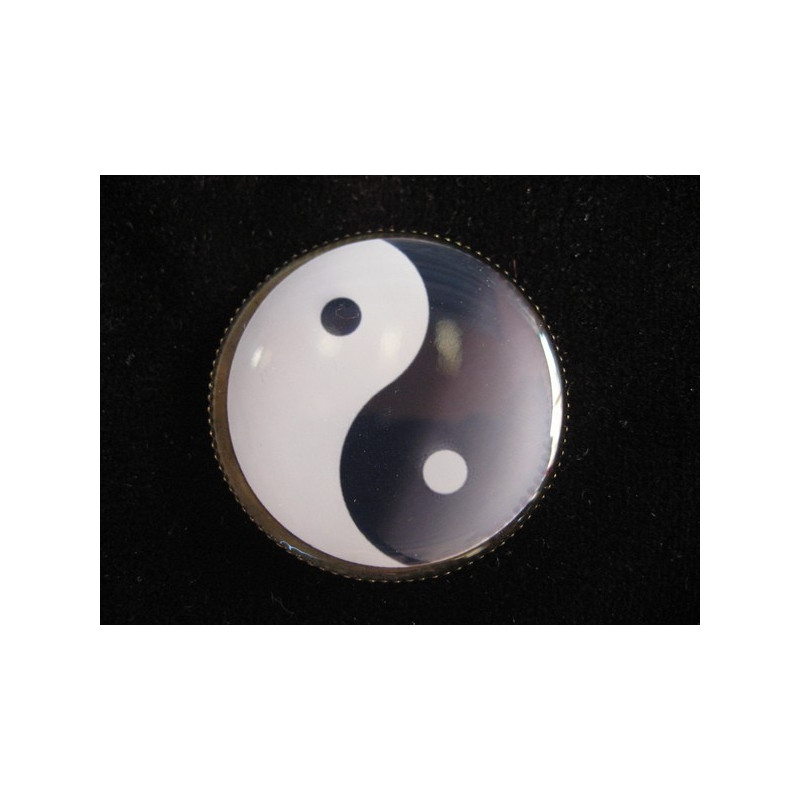 PIN Zen, Yin and Yang, set with resin