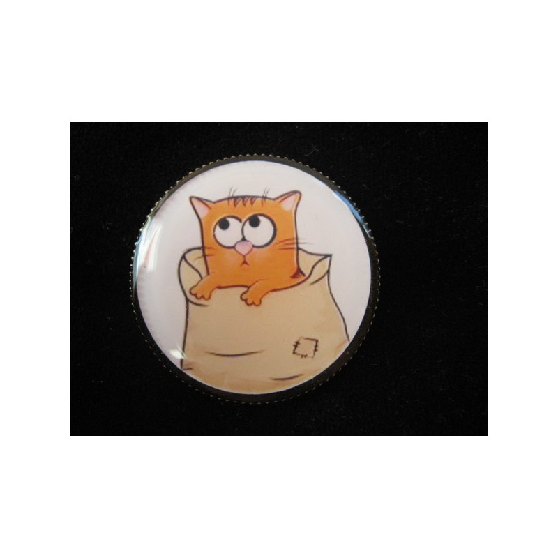 BROCHE fantaisie, Chaton Cartoon, sertie en résine