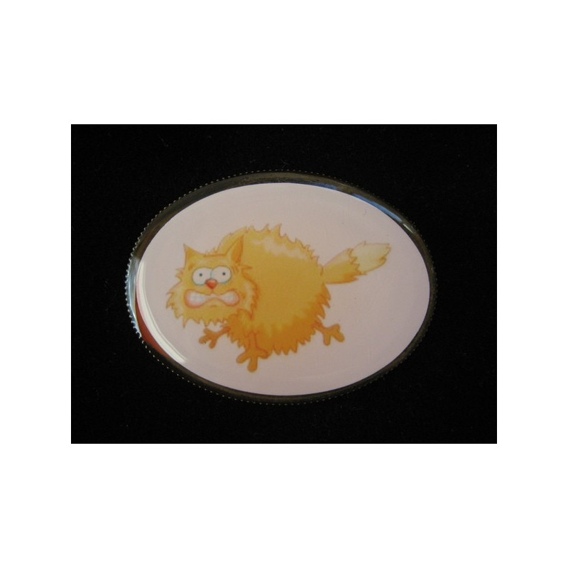 Oval brooch, stressed cat, set with resin