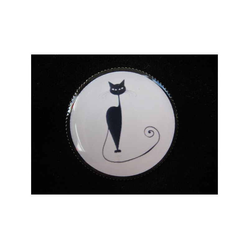 Fancy brooch, Cat worthy, set in resin