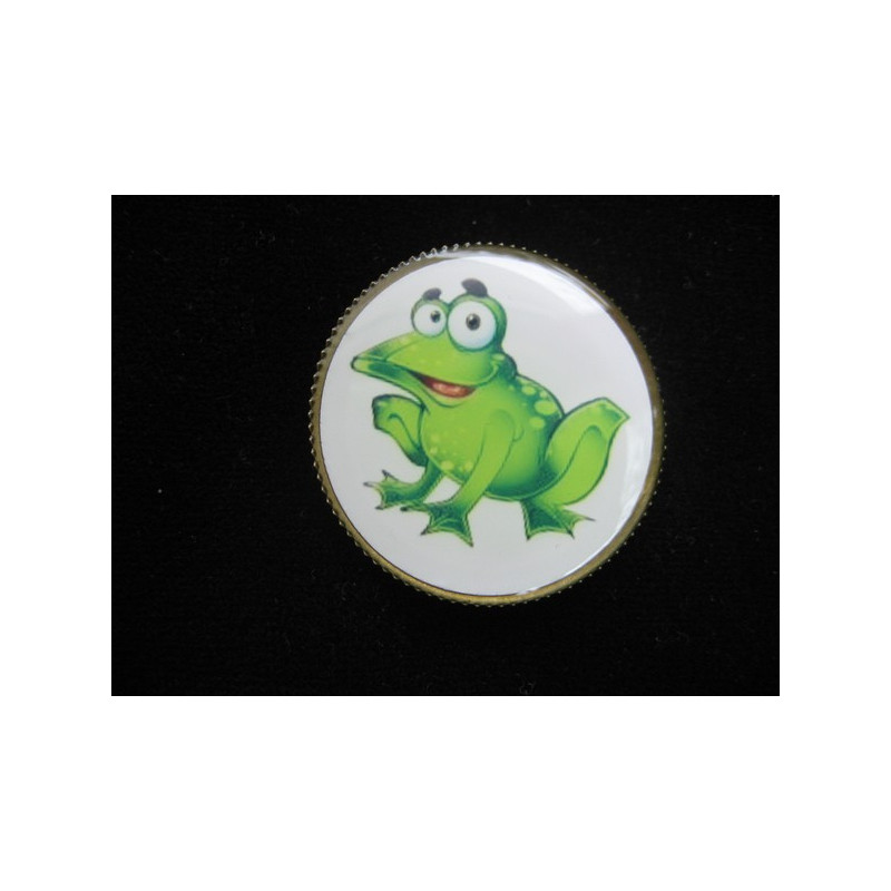 Fancy brooch, charming toad, set with resin