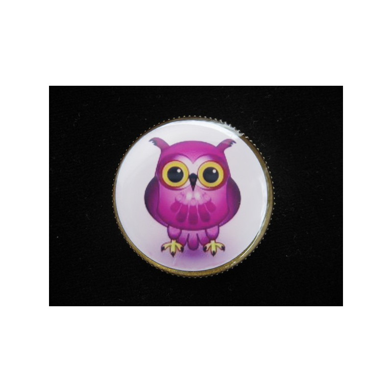 Fancy brooch, My owl, set with resin