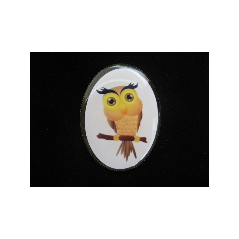 Fancy oval brooch, My owl, set in resin