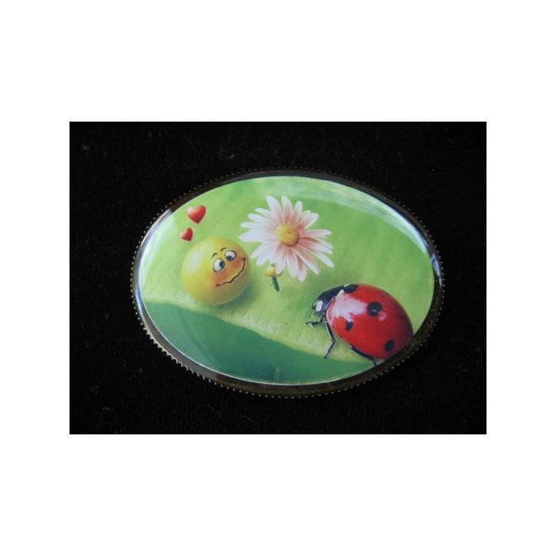Oval brooch, Smiley in love, set with resin
