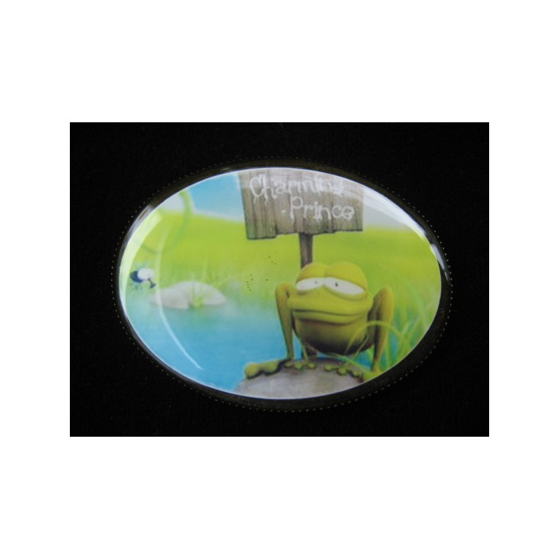 Oval brooch, My charming prince, set in resin