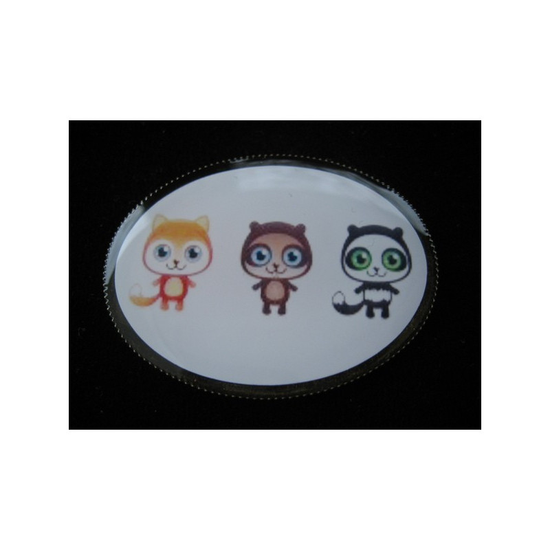 Kawaii oval brooch, small lemurs, set in resin