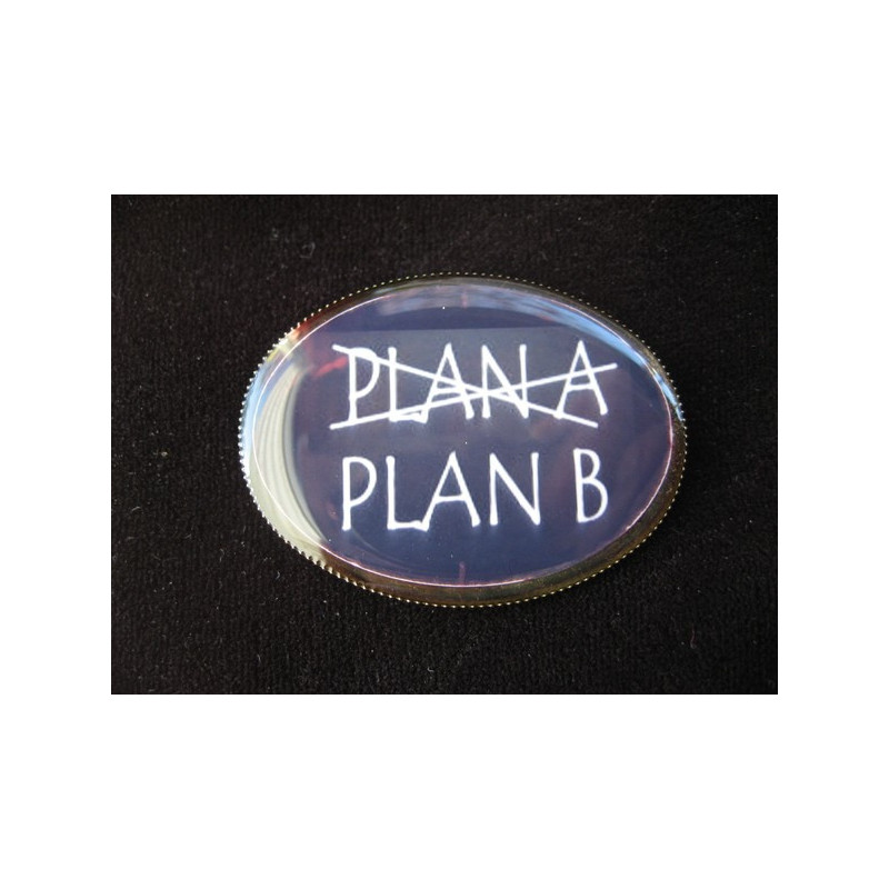 Fancy oval brooch, Plan A or Plan B, set in resin