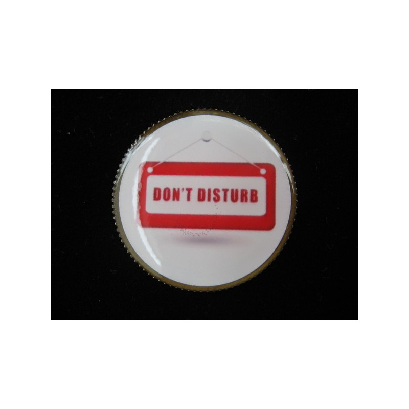 Fancy BROOCH, Don't Disturb, set in resin