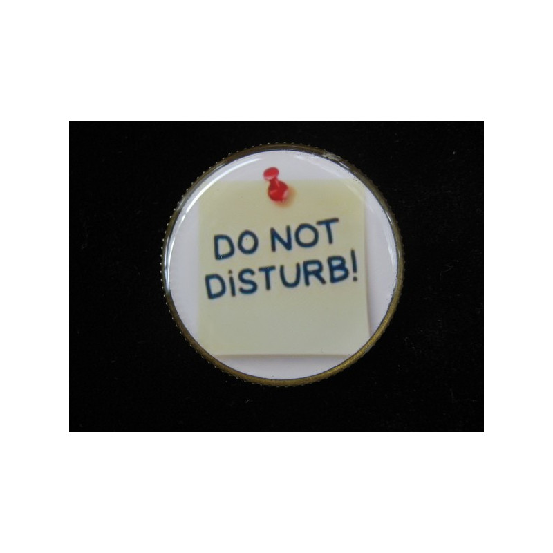 Fancy brooch, Do not disturb, set in resin