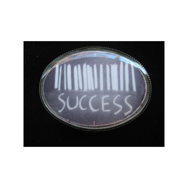 OVAL PIN, Success Bar Code, set in resin