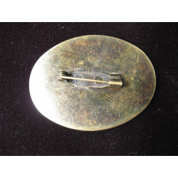 Vintage oval brooch, Fragile attention, set in resin