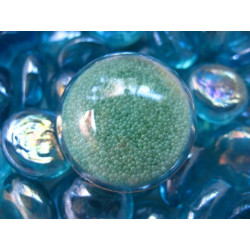 Bague dome, microperles vertes claires mobiles, dans une demi-sphère plexi