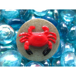 Big ring, red crab, on sand bottom in resin